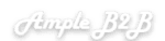 ample b2b consultancy